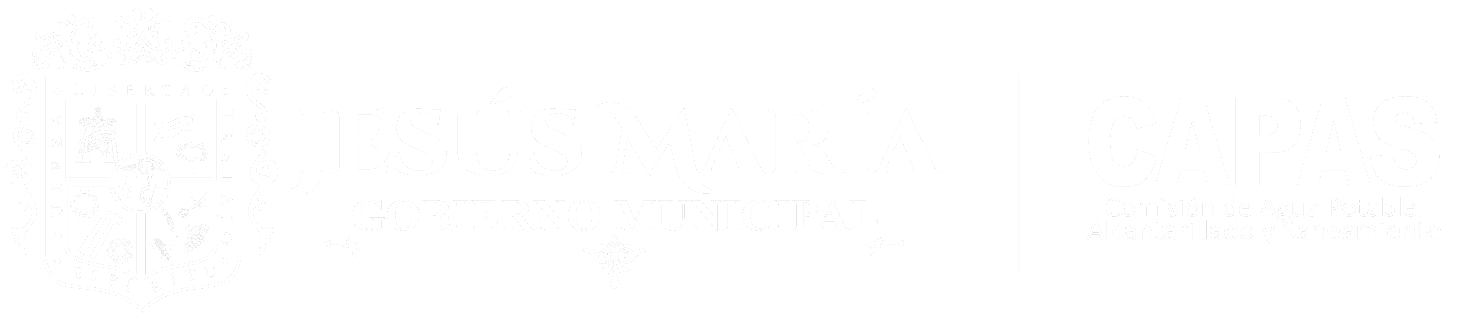 Logo CAPAS 2